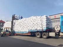 把握機(jī)遇、鉚足干勁、承勢而上