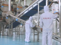 2025年的第一個(gè)月，承德亞歐果仁有限公司在山杏產(chǎn)業(yè)的道路上持續(xù)奮進(jìn)，展現(xiàn)出蓬勃的發(fā)展活力。